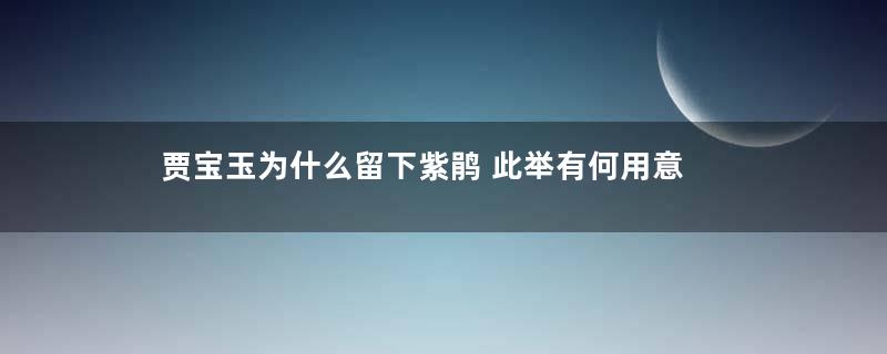 贾宝玉为什么留下紫鹃 此举有何用意